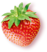 Erdbeere 1