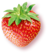 Erdbeere 3